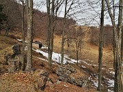 41 In decisa breve salita per la Baita Alta del Sornadello